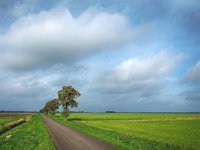 NL, Drenthe, Borger-Odoorn, LOFAR 17, Saxifraga-Hans Dekker