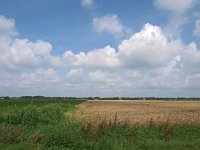 NL, Drenthe, Borger-Odoorn, Valtherdijk 1, Saxifraga-Hans Dekker