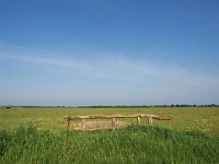 NL, Drenthe, Coevorden, Galgaten 1, Saxifraga-Hans Dekker