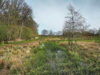 NL, Drenthe, Coevorden, Geeserstroom 15, Saxifraga-Hans Dekker