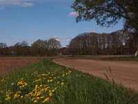 NL, Drenthe, Coevorden, Kleine Scheere 1, Saxifraga-Hans Dekker