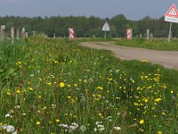 NL, Drenthe, Coevorden, Mepperhooilanden 3, Saxifraga-Hans Dekker