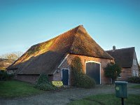 NL, Drenthe, Coevorden, Mepperhooilanden 4, Saxifraga-Hans Dekker