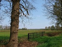 NL, Drenthe, Coevorden, Stroeten 1, Saxifraga-Hans Dekker