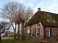 NL, Drenthe, De Wolden, Ansen 3, Saxifraga-Hans Dekker