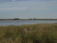 NL, Drenthe, De Wolden, Dwingelderveld, Drosterveen 1, Saxifraga-Willem van Kruijsbergen