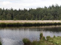 Panorama of mere in forest, Drenthe, Netherlands  Panorama of mere in forest, Drenthe, Netherlands : mere, pool, water, landscape, rural landscape, rural scene, non-urban scene, rural, forest, woodland, bank, reed, reeds, nature, natural, Drenthe, Holland, Dutch, outdoors, nobody, no people, summer, summertime, Netherlands, outside, panorama, panoramic