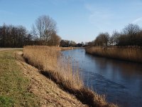 NL, Drenthe, De Wolden, Koekange, Oude Hoogeveensche Vaart 2, Saxifraga-Hans Dekker