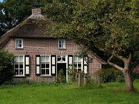 NL, Drenthe, De Wolden, Oldenhave 4, Saxifraga-Hans Dekker