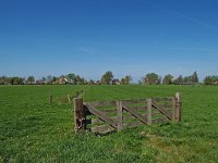 NL, Drenthe, De Wolden, Ruinerwold, Larijweg 2, Saxifraga-Hans Dekker