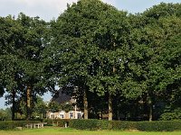 NL, Drenthe, De Wolden, Steenbergen 7, Saxifraga-Hans Dekker