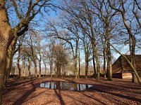 NL, Drenthe, De Wolden, Steenbergen 9, Saxifraga-Hans Dekker