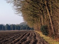 NL, Drenthe, De Wolden, Steenberger Es 3, Saxifraga-Hans Dekker