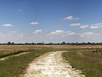 Heide in Bargerveen  Bourtanger Moor-Bargerveen International Nature Park. : Emptiness, Grand, Room, Solitude, The way forward