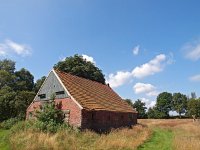 NL, Drenthe, Emmen, Bargerveen 28, Saxifraga-Hans Dekker