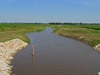 NL, Drenthe, Emmen, Bargerveen, Runde 1, Saxifraga-Hans Dekker