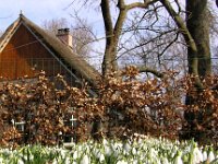 NL, Drenthe, Emmen, Schoonebeek, Middendorp 1, Saxifraga-Hans Dekker