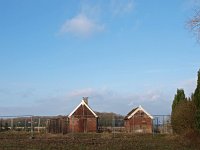 NL, Drenthe, Emmen, Weerdinge 2, Saxifraga-Hans Dekker