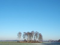 NL, Drenthe, Emmen, Weiteveen 1, Saxifraga-Hans Dekker