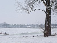 NL, Drenthe, Hoogeveen, Olde Kene 8, Saxifraga-Hans Dekkers