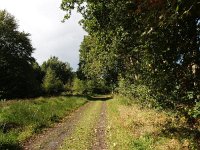 NL, Drenthe, Midden-Drenthe, Elperstroom 2, Saxifraga-Hans Dekker