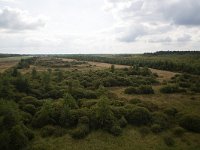 Area with spring of brook Amerdiep, shot from watchtower; Drenthe, Netherlands  Area with spring of brook Amerdiep, shot from watchtower; Drenthe, Netherlands : spring, well, brook, Amerdiep, Drenthe, Netherlands, Dutch, tree, trees, bush, bushes, heath, Midden-Drenthe, rural, landscape, rural landscape, rural area, rural scene, non-urban scene, nature, natural, no people, nobody, summer, summertime, green, sky, clouds, cloudy, nature reserve, outdoor, outdoors, outside