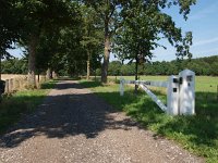 NL, Drenthe, Midden-Drenthe, Hooghalen 1, Saxifraga-Hans Dekker