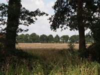 NL, Drenthe, Midden-Drenthe, Laaghalen 2, Saxifraga-Hans Dekker