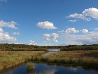 NL, Drenthe, Midden-Drenthe, Mekelermeer 2, Saxifraga-Hans Dekker