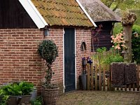 NL, Drenthe, Midden-Drenthe, Orvelte 46, Saxifraga-Hans Dekker