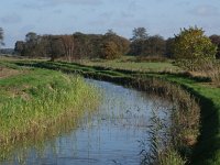 NL, Drenthe, Midden-Drenthe, Ruiner Aa 1, Saxifraga-Hans Dekker