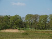 NL, Drenthe, Midden-Drenthe, Vossenberg 2, Saxifraga-Hans Dekker