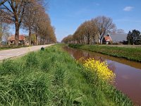 NL, Drenthe, Midden-Drenthe, Witteveen 1, Saxifraga-Hans Dekker