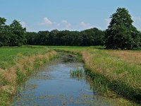 NL, Drenthe, Midden-Drenthe, Zwiggelte 1, Saxifraga-Hans Dekker