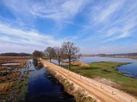 NL, Drenthe, Noordenveld, Fochteloerveen 24, Saxifraga-Hans Dekker