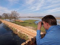 NL, Drenthe, Noordenveld, Fochteloerveen 26, Saxifraga-Hans Dekker