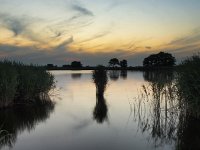 NL, Drenthe, Noordenveld, Leekstermeer 10, Saxifraga-Rudmer Zwerver : Netherlands, Noordenveld, atmosphere, biotoop, calm, creative nature, dageraad, dawn, dusk, geel, gras, grass, holland, kalm, lake, lakeside, landscape, landschap, leekstermeer, lucht, meer, natura 2000, natural, nature, natuur, natuurlijk, natuurlijke, nederland, omgeving, orange, oranje, peace, quiet, reed, reeds, reflect, reflecteren, reflectie, reflection, riet, rietkraag, rudmer zwerver, rust, schemering, sereen, serene, sfeer, silhouette, sky, spectaculaire, spectacular, stilte, summer, sun, sunbeam, sunlight, sunray, sunrise, sunset, sunshine, tranquil, twilight, vredig, water, yellow, zomer, zon, zonlicht, zonneschijn, zonnestraal, zonsondergang, zonsopgang