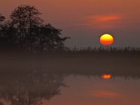 Setting sun is dissapearing  Setting sun is dissapearing behind reed : Noordenveld, atmosphere, autumn, calm, creative nature, dageraad, dawn, dusk, dutch, geel, hemel, herfst, holland, kalm, lake, lakeside, landscape, landschap, leekstermeer, lente, licht, light, meer, mist, natura 2000, natural, nature, natuur, natuurlijke, nederland, nederlands, nevel, nevelig, orange, oranje, peace, quiet, reflect, reflecteren, reflectie, reflection, riet, rietkraag, rudmer zwerver, rust, schemering, sereen, serene, sfeer, silhouette, sky, spectaculair, spectacular, spring, summer, sun, sunbeam, sunlight, sunray, sunrise, sunset, sunshine, tranquil, twilight, vredig, water, yellow, zomer, zon, zonlicht, zonneschijn, zonnestraal, zonsondergang, zonsopgang