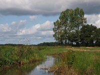 NL, Drenthe, Noordenveld, Oostervoortse Diepje 2, Saxifraga-Hans Dekker