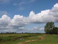 NL, Drenthe, Noordenveld, Oostervoortse Diepje 3, Saxifraga-Hans Dekker