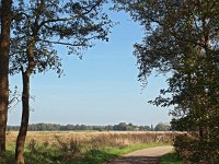 NL, Drenthe, Noordenveld, Peizermaden 9, Saxifraga-Hans Dekker