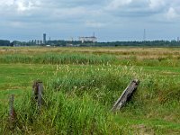 NL, Drenthe, Noordenveld, Polder Matsloot 2, Saxifraga-Hans Dekker