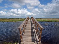 NL, Drenthe, Noordenveld, Polder Matsloot 4, Saxifraga-Hans Dekker