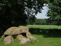 NL, Drenthe, Noordenveld, Westerveld 1, Saxifraga-Hans Dekker