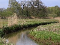 NL, Drenthe, Tynaarlo, De Heest 31, Saxifraga-Hans Boll