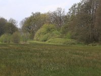 NL, Drenthe, Tynaarlo, De Heest 38, Saxifraga-Hans Boll