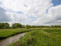 NL, Drenthe, Tynaarlo, Drentse Aa, Oudemolen 4, Saxifraga-Bart Vastenhouw