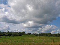 NL, Drenthe, Tynaarlo, Eelde 1, Saxifraga-Hans Dekker