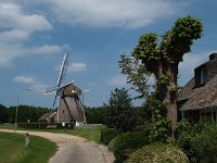 NL, Drenthe, Tynaarlo, Oudemolen 1, Saxifraga-Hans Dekker