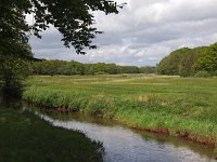 NL, Drenthe, Tynaarlo, Oudemolen 4, Saxifraga-Hans Dekker